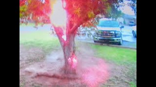 WATCH Lightning strikes tree in southwestern Oklahoma [upl. by Refotsirc]