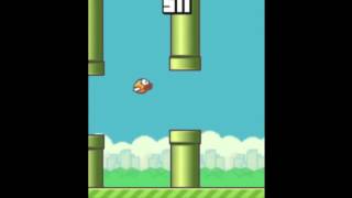 The real end of Flappy Bird lvl 1000  WORLD RECORD [upl. by Inait218]