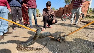 Etna Bada Snake 🐍 Pakad Liya 😲 [upl. by Dumas]