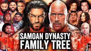 The Bloodline Family Tree Explained [upl. by Fugate]