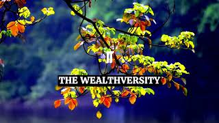 Suspenseful Music  No Copyright  IT by The Wealthversity Music [upl. by Rois]