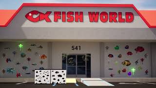 CK Fish World has GreenPleco plushies in there store [upl. by Lenka]