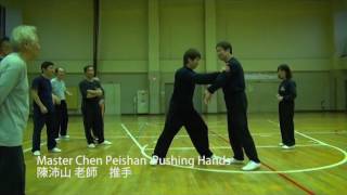 Master Chen Peishan Pushing Hands Vol 1 [upl. by Hunt]