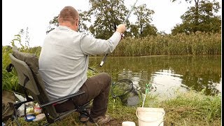 Łowienie na spławik Początek jesieni na Baryczy w miejscowości Żabin [upl. by Belva346]