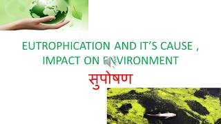 EUTROPHICATION in hindi AND IT’S CAUSE  IMPACT ON ENVIRONMENT [upl. by Etsirk]