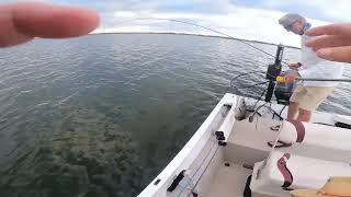 Awesome Striper Action on the fly flyfishingtactics texasflycaster hybridstripers laketawakoni [upl. by Casi601]