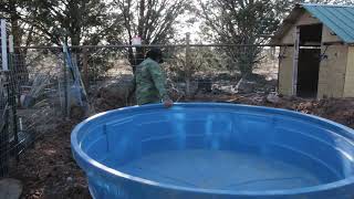 Building a Duck Pond with a Water Trough  Part 1 DIY [upl. by Rehposirhc]