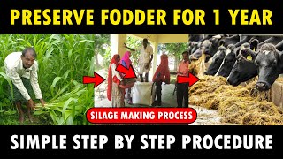 Silage Making Process  How to make Silage for Cows  Goats  Cattle Feed Making Method [upl. by Nuahs]