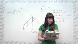 Microeconomics Practice Problem  The Cost of Externalities and the Logic of Corrective Taxes [upl. by Ainak]