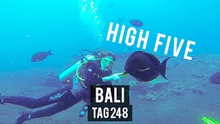 Das erste Mal WRACKTAUCHEN  Tag 248  Bali  Weltreise  Vlog  Backpacking [upl. by Tiphani]