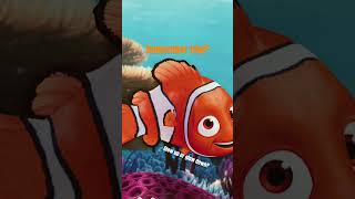 😋😋fhish nemo funny [upl. by Fattal]