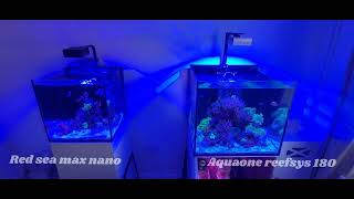 Aquaone Reefsys 180  Soft Coral Tank [upl. by Sirej]