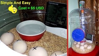 DIY  Hatching Egg Incubator Simple And Easy  Homemade Incubator [upl. by Kcirdot]