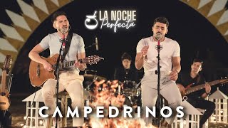 Campedrinos  Session Álbum Completo [upl. by Nolubez]