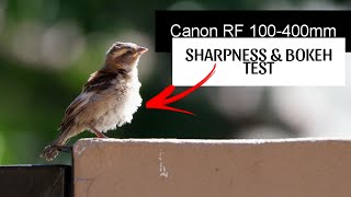 Canon RF 100400mm Sharpness and Bokeh Test [upl. by Aihtela]