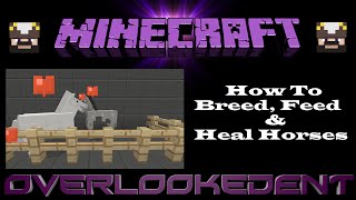 How To Breed Feed amp Heal Horses  Minecraft XboxPlaystation  Tutorial [upl. by Nel878]