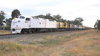 SSR Grain Train Cootamundra to Ardlethan [upl. by Dolora]