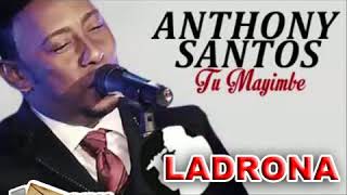 Anthony Santos  Mi Corazón Es Delicado  Merengue 2k17 [upl. by Ahsenrac]