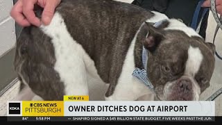 Police Traveler abandons dog at Pittsburgh International Airport before getting on flight [upl. by Gusti]