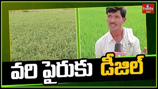 వరి పైరుకు డీజిల్  Crop Cultivation  Agri Info  hmtv Agri [upl. by Eyahsal]