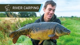 River Carp Fishing for BEAUTIFUL Carp [upl. by Edmond]