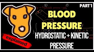 Hemodynamics Blood pressure Hydrostatic and Kinetic pressure [upl. by Atwood990]