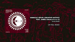 Animalic Drum  Kreative Nativez  James Sakala  Lu Lu ZM  Shalimar  Dr Feel Remix [upl. by Araiet]