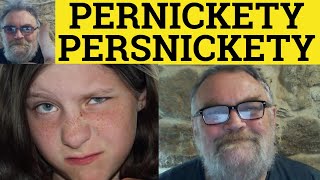 🔵 Pernickety Meaning  Persnickety Examples  Persnickety Defined  Pernickety Explained  C2 Vocab [upl. by Arica]