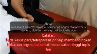 TRAMED PEMERIKSAAN GAIT MOTORIK SENSORIK ENG SUB [upl. by Hannibal]