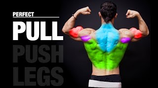 The PERFECT Pull Workout PUSH  PULL  LEGS [upl. by Ahsropal]