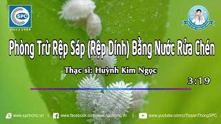 Bác Sĩ Cây Trồng42 Phòng Trừ Rệp Sáp Rệp Dính Bằng Nước Rửa Chén [upl. by Ariait]