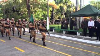 Desfile da Tropa  Passagem de Comando 10ª Bda Inf [upl. by Allix898]