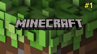 TIME TO MAKE MY WORLD MINECRAFT GAME PLAY1 GAMING PRO [upl. by Bennett203]