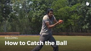 How To Throw The Ball in Cricket  Correct Throwing Technique [upl. by Lennaj]