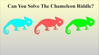 How To Solve The Chameleon Riddle [upl. by Fital]