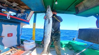 PESCARIA EM ALTO MAR NA PEGADA DOS PEIXES BRUTO Pesca [upl. by Dermott]