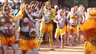 Pulikalli  Tiger Dance 2016 [upl. by Ennaeerb]