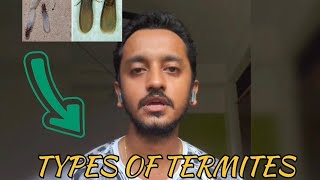 Types of termite amp Termite treatment for new house construction [upl. by Pernell252]