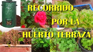 MESES sin SUBIR VÍDEOS 😱😱 ¿Cómo estarán las plantas RECORRIDO por la HUERTO terraza [upl. by Robison]