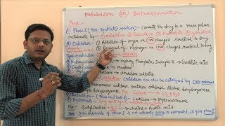 Metabolism of Drug Part 02  Phases of Drug Metabolism  Metabolism of Drug  ADME क्या होता है [upl. by Liponis858]