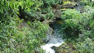 EL YUNQUE PUERTO RICO 🇵🇷httpsyoutubecommotopasionpr7215 [upl. by Androw]