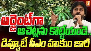 People Request To Remove Poisonous Conocarpus Plant  iNews [upl. by Marelda]