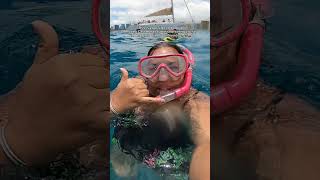 Waikiki Swim with Turtles Tour  Moana Catamaran Snorkeling Cruise [upl. by Birmingham]