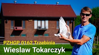 Wiesław Tokarczyk  PZHGP 0162 Trzebinia  Prezentacja hodowli amp sezon 2023 🇵🇱🏆💪 [upl. by Aicert]