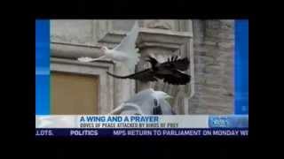 Pope Releases Peace Doves Which Are Promptly Attacked by Meaner Birds [upl. by Eeresed]