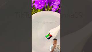 Menggambar bendera Palestina diatas air‼️ nailart nails naildesign nailtutorial art cover [upl. by Anert]