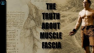 The Truth About Muscle Fascia [upl. by Immac]