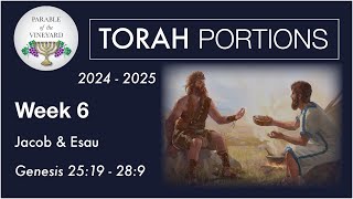 Torah Portion Week 6  Genesis 2519  289 Jacob amp Esau  Deception amp Envy 2024  2025 [upl. by Ydnem]