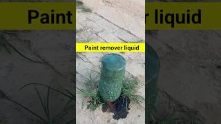 Paint remover liquid shortvideo shorts short [upl. by Gemmell]