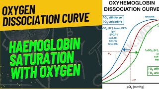 OXYGEN DISSOCIATION CURVE  FULLY EXPLAINED  neet2024 biology zoology respiration [upl. by Kinsler109]